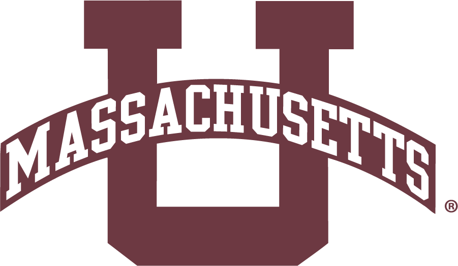 Massachusetts Minutemen 1985-1993 Primary Logo iron on transfers for clothing